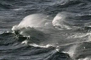 Baltic Sea Waves Drucke: Waves with spray, on the high seas