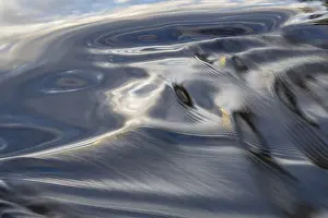 Scandinavian Water Bodies Drucke: Waves in a stream, abstract, Norrbotten