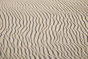 Baltic Sea Beach Drucke: Wavy lines in sand, Weststrand Beach