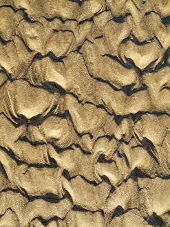 Wavy Sand Pattern Drucke: Wavy pattern in the sand of beach