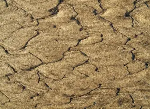 Close Up Sand Texture Drucke: Wavy pattern in the sand of beach