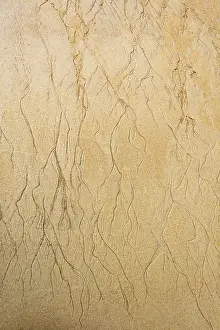 Abel Tasman National Park Drucke: Wavy pattern due to water current in the sand