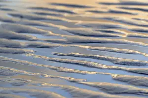 Empty Beach At Low Tide Drucke: Wavy patterns, ripples in wet sand