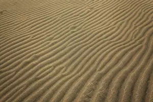 Wavy Sand Patterns Drucke: Wavy structures in the sand, dunes of Maspalomas