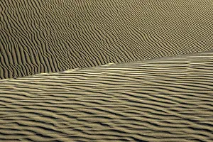Canary Islands Desert Landscapes Drucke: Wavy structures in the sand, dunes of Maspalomas