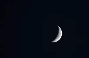 Waxing Moon Drucke: Waxing moon