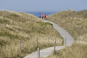 East Frisia Germany Drucke: Way through the dunes to the beach