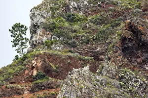 Rocky Coastline Portugal Drucke: Weathered lava rocks on the cliffs