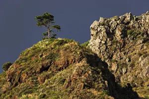 Rocky Coastline Portugal Drucke: Weathered lava rocks on the cliffs