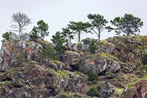Rocky Coastline Portugal Drucke: Weathered lava rocks on the cliffs