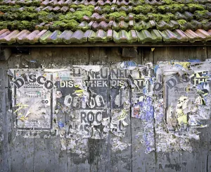 Overgrown With Moss Drucke: Weathered posters on a barn