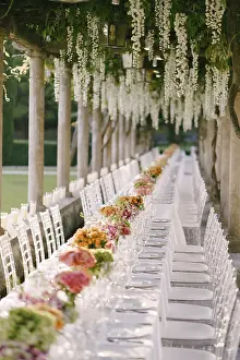 Drucke von Hochzeitsdinner-Tischempfang. Ein sehr langer Tisch für Gäste mit weißem Tischtuch, Blumenarrangements, gläserne transparente Plastikstühle Chiavari. Unter den alten Säulen mit Weinreben von Wisteria Chiavari Drucke: Hochzeitsdinner-Tischempfang