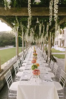 Drucke von Hochzeitsdinner-Tischempfang. Ein sehr langer Tisch für Gäste mit einem weißen Tischtuch, Blumenarrangements, transparente Plastikstühle Chiavari. Unter den alten Säulen mit Weinreben von Wisteria Chiavari Drucke: Traurengastmahl-Tischempfang
