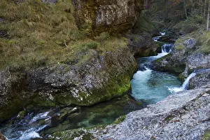 Rocky Landscape Europe Drucke: WeiBbach flows through gorge