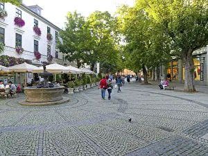 Europe Urban Environment Drucke: Weimar pedestrian zone with large trees