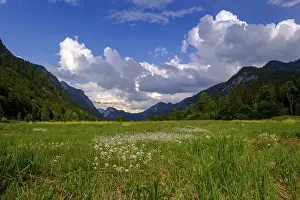 Uninhabited Lakes In Europe Drucke: Weitsee, Weitseemoor, Pfeiffengraswiese