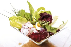 Studio Background Cuisine Drucke: Wellness Salad
