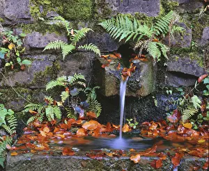 Central Europe Autumn Mood Drucke: Wells