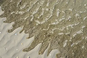 European Beach Scene Drucke: Wet sand surface with wavy patterns and small pebbles