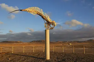 Whale Skeleton Drucke: Whale skeleton, concrete column