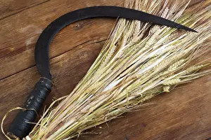 Deserted Agriculture Scene Drucke: Wheat bundle and sickle on the vintage table top