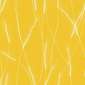 Rural Food Photography Drucke: Wheat cereal ears seamless pattern