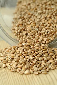 Whole Grain Foods Drucke: Wheat corn