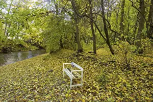 Autumn Atmosphere Europe Drucke: White bench on the autumnal Triesting