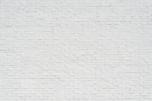 Brick Exterior Design Drucke: White brick wall