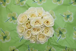 White Roses Drucke: White bunch of roses
