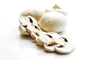 Weißer Knoblauchpilz