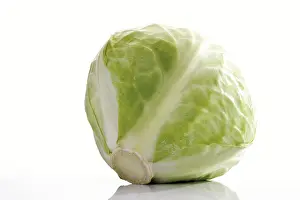 White Cabbage Drucke: White cabbage