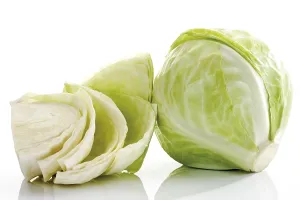 White Cabbage Drucke: White cabbage, one whole and one half head