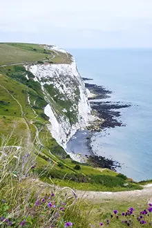 English Channel Views Drucke: White cliffs of Dover, hiking trails