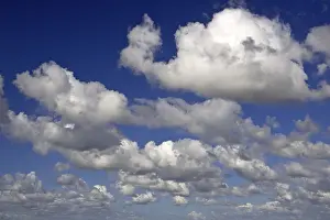 Blue Sky Cumulus Cloud Drucke: White clouds in a blue sky