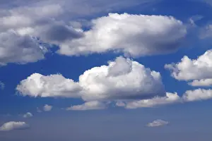 White Clouds Blue Sky Drucke: White clouds in blue sky