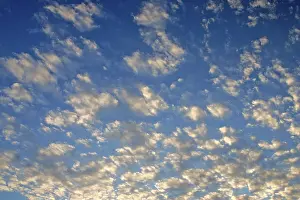 Evening Light Mood Drucke: White clouds at blue sky in sunset light