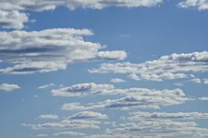 Blue Sky Africa Drucke: White clouds float in the blue sky backdrop