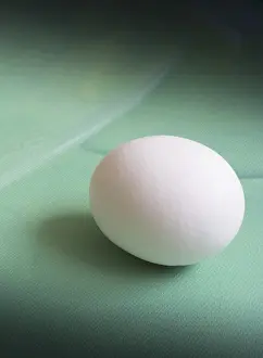 Christian Symbolism Art Drucke: White egg on green canvas, vertical image