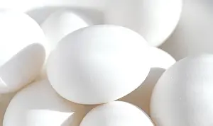 Studio Shot Of Eggs Drucke: White eggs