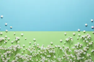 Drucke von Weiße Blumen-Komposition auf pastellblau-grünem Hintergrund mit Kopierspuren. Flachaufnahmestil, Oberansicht, Minimalstil Minimalistische Kunstwerke Drucke: Weiße Blumen-Komposition auf pastellblaue grüne Hintergrund mit Kopierbereich.