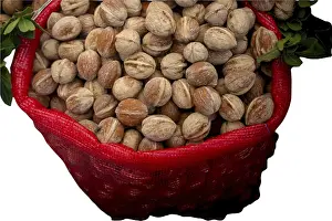 Healthy Eating Walnuts Drucke: White isolated walnut for design and project insertion