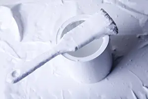 Handicraft Profession Drucke: White painter