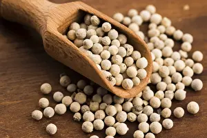 White Peppercorn Drucke: White pepercorn
