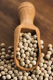 White Peppercorn Drucke: White pepercorn
