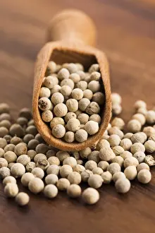 Plain Colored Background Photo Drucke: White pepercorn