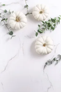 Flat Lay Photography Drucke: White pumpkins with eucalyptus branches on white background