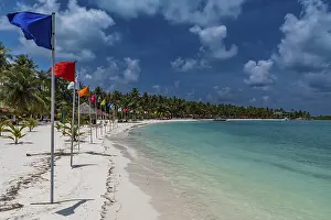 Deserted Coast Of India Drucke: White sand beach with many flags