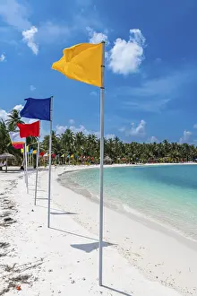 Deserted Sandy Ocean Beach Drucke: White sand beach with many flags