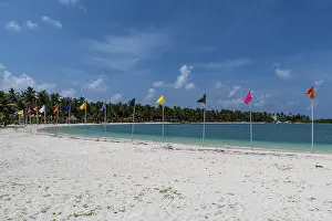 Deserted Sandy Ocean Beach Drucke: White sand beach with many flags